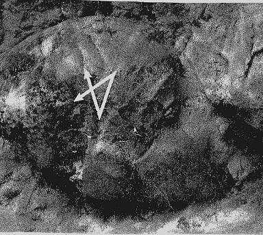 Voz De Nenhum - Sublimation