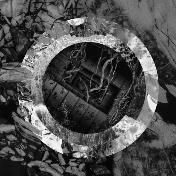 Torpor - Discography (2012-2019)