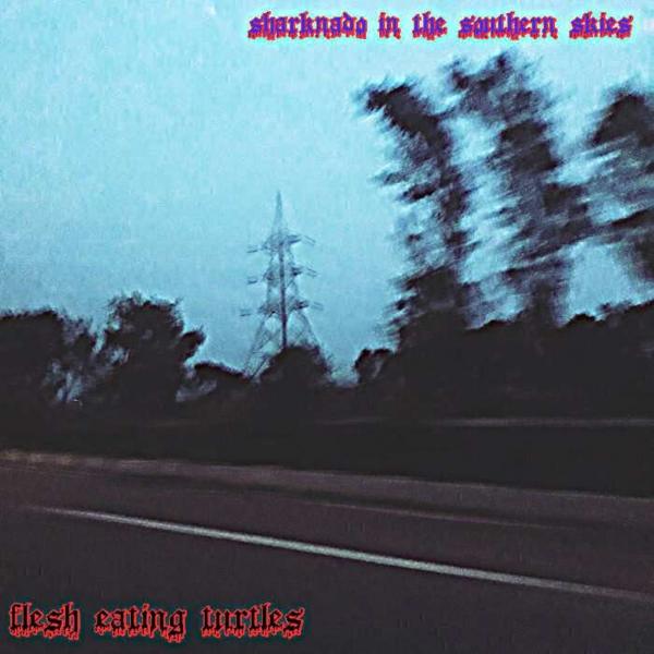 Flesh Eating Turtles - Sharknado in the Southern Skies (EP)