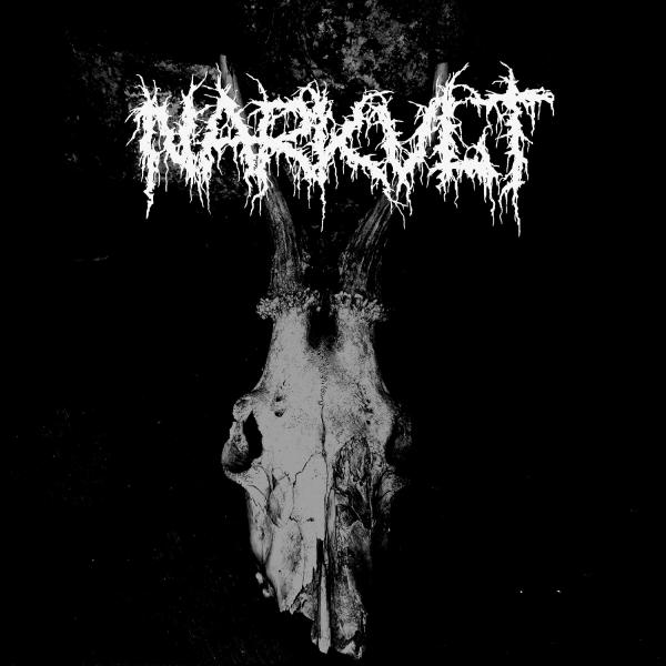 Narkvlt - Discography (2019)