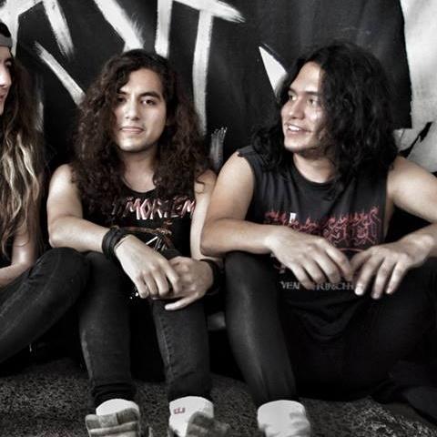 Venemous - Discography (2013 - 2017)