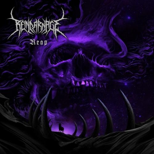 Reincarnage - Reap