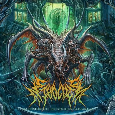 Ethology - Discography (2019)