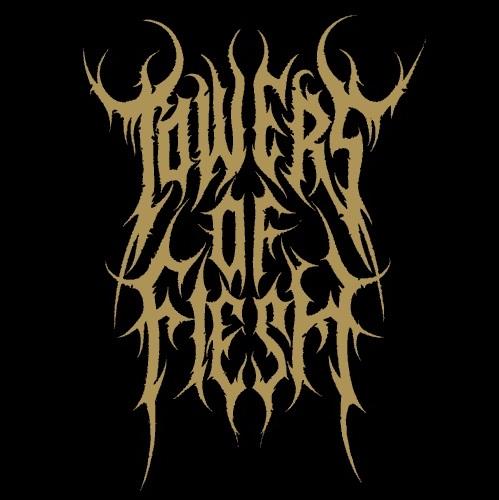 Towers of Flesh - Discography (2010 - 2014)
