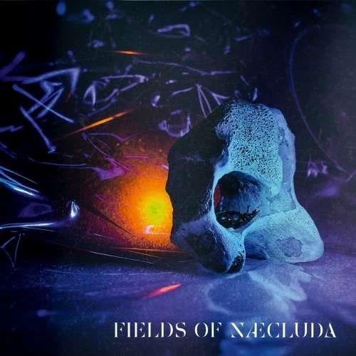 Fields Of Naecluda - Fields Of Naecluda