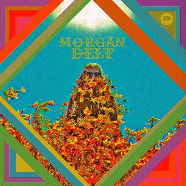 Morgan Delt - Discography (2013 - 2016)