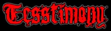 Tesstimony - Discography (2004 - 2007)