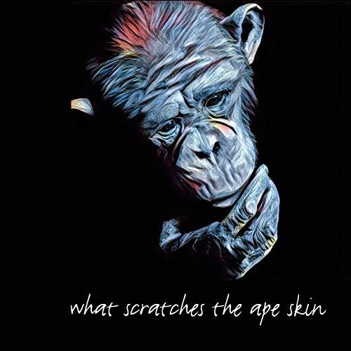 Bjorn Pehrson &amp; Jorgen Andersson - What Scratches The Ape Skin