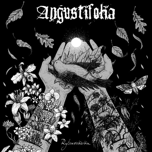 Angustifolia - Discography (2019 - 2021)