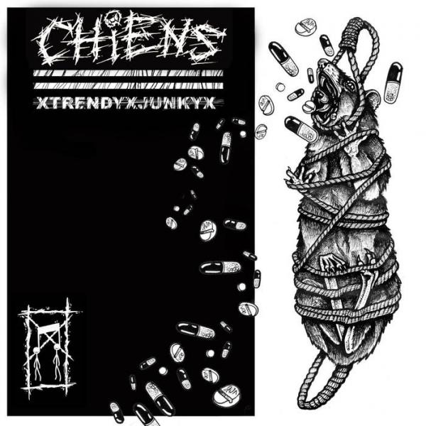 Chiens - Trendy Junky