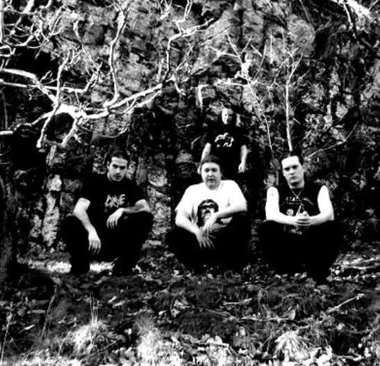 Fleshcut - Discography (2007 - 2012)