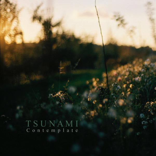 Tsunami - Contemplate