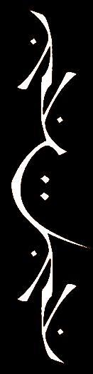 Your Cell: Yourself - Fire Tender - Reflections Through Flame (Live Album)