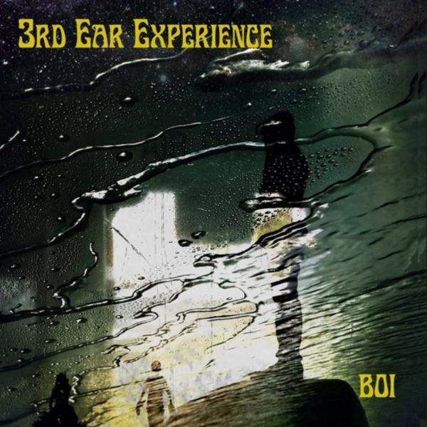 3rd Ear Experience - Discography (2012 - 2019)
