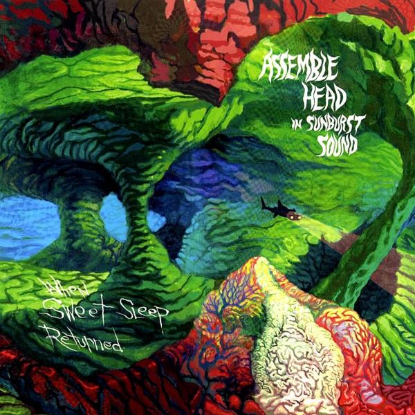 Assemble Head In Sunburst Sound - Discography (2005 - 2012)