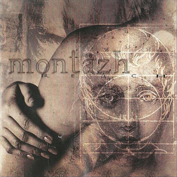 Montazh - Reach