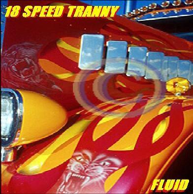 18 Speed Tranny - Fluid