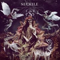 Sectile - Falls Apart