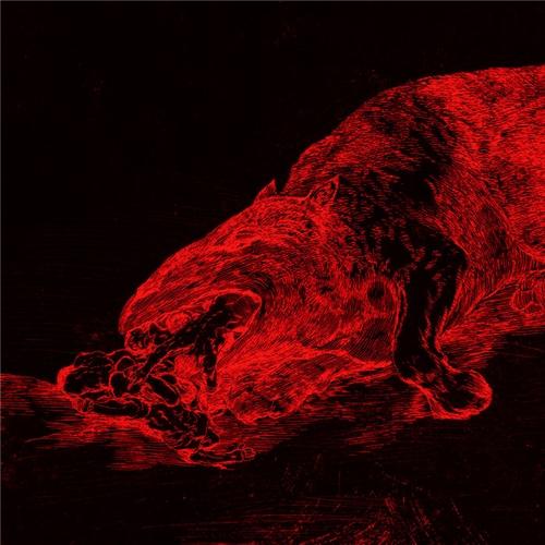 Hræ - Þar Sem Skepnur Reika