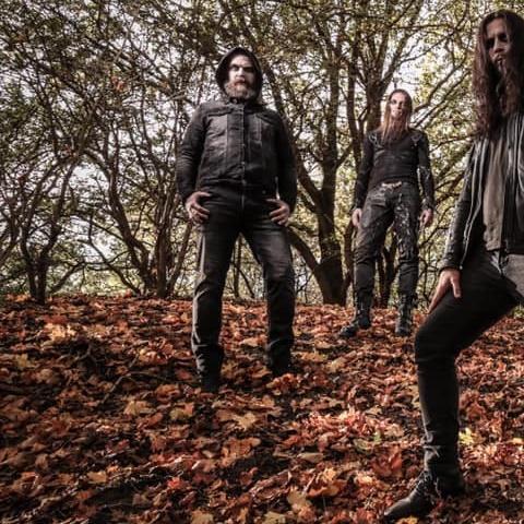 Dark Fortress - Discography (2001 - 2020) (Lossless)