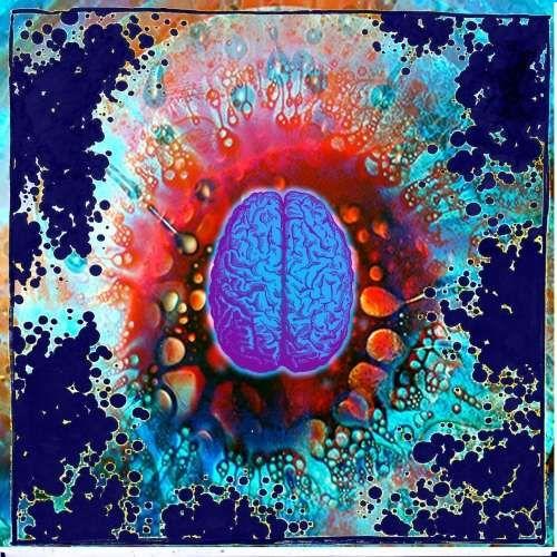 The Boy That Got Away - Colossus