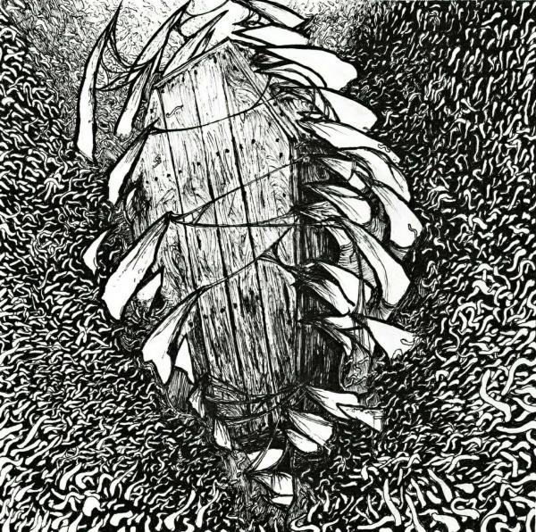 ДУМА - Зубы земли