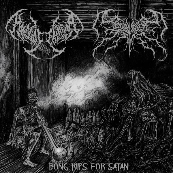 Maggot Erotica / Devouring Reality - Bong Rips for Satan (Split)