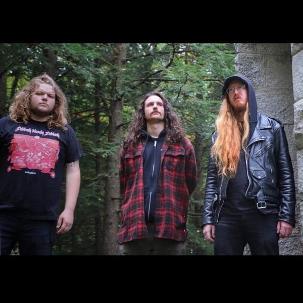 Barishi - Discography (2013 - 2020)