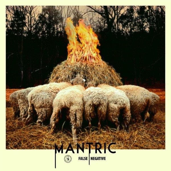 Mantric - False Negative