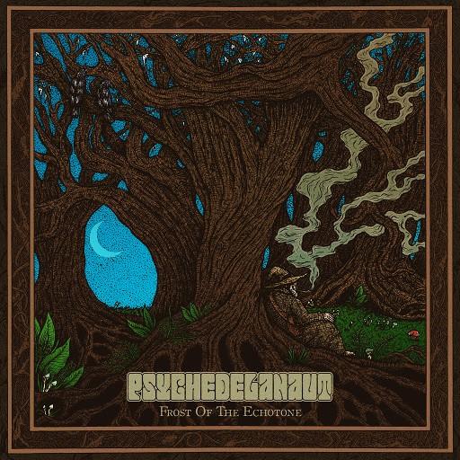 Psychedelanaut - Frost Of The Echotone