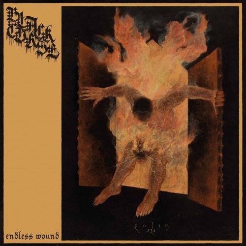 Black Curse - Endless Wound (Lossless)