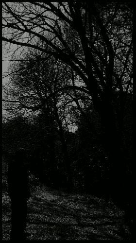 Heilnoz - Discography (2010 - 2015)