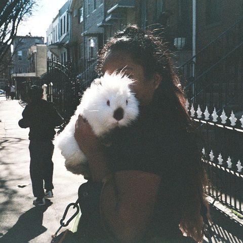 River Cult - Chilling Effect