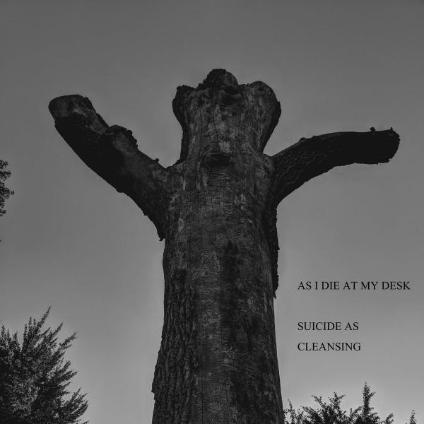 As I Die at My Desk - Discography (2018 - 2020)