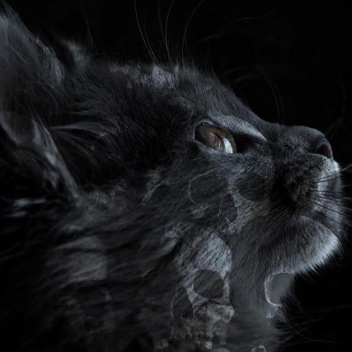 Beard Jitsu - Beard Jitsu (EP)