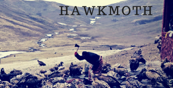 Hawkmoth - Discography (2011-2020)