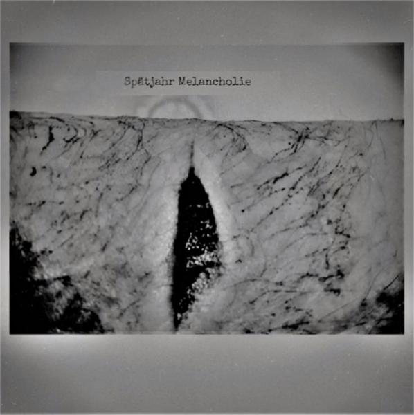 Spätjahr Melancholie - Pray For A Coma