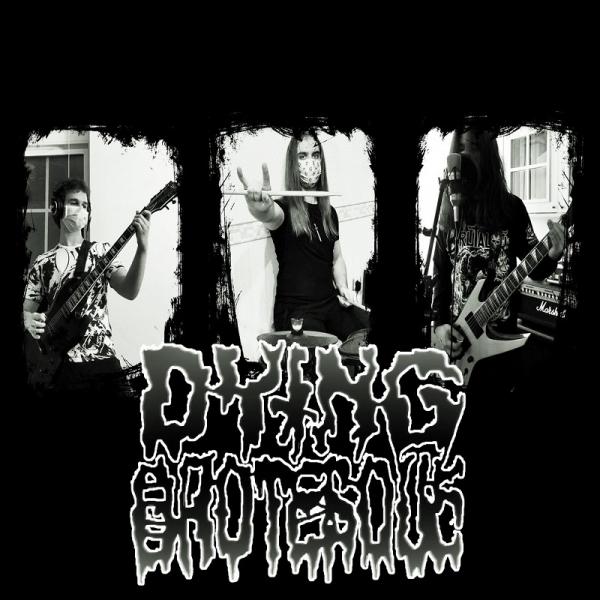 Dying Grotesque - Discography (2019 - 2020)