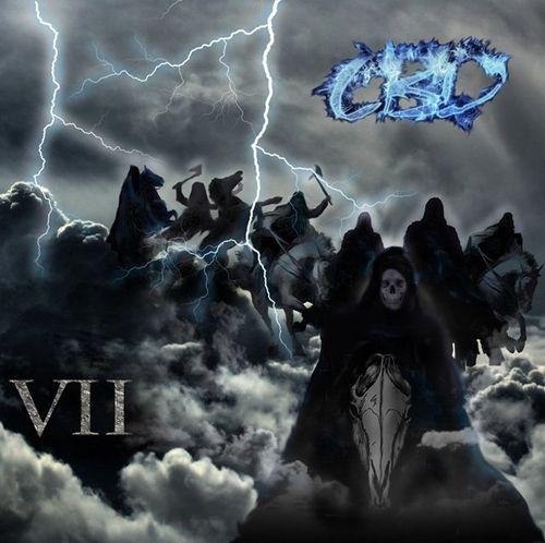 СВД - VII