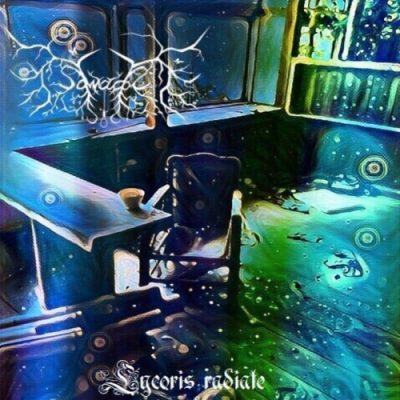 Sawagi - Lycoris radiate