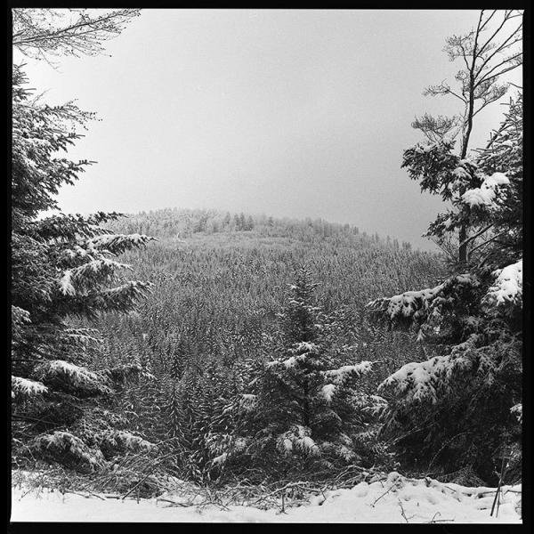 Loth - Discography (2016 - 2020)