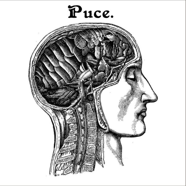Puce - Discography (2016 - 2020)