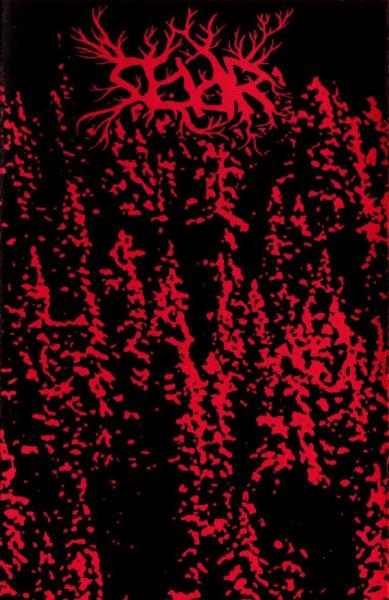 Seiðr - I Galskabens Mørke