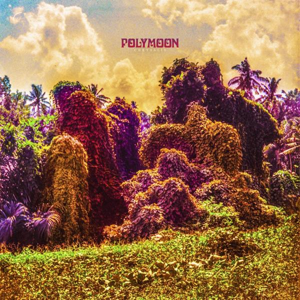 Polymoon - Discography (2020 - 2023)