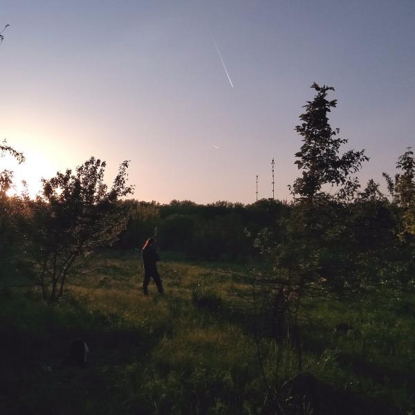 Somnolences - Discography (2020 - 2022)