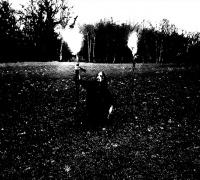 Sale Freux - Le Dernier Corbeau Du Monde (Compilation)