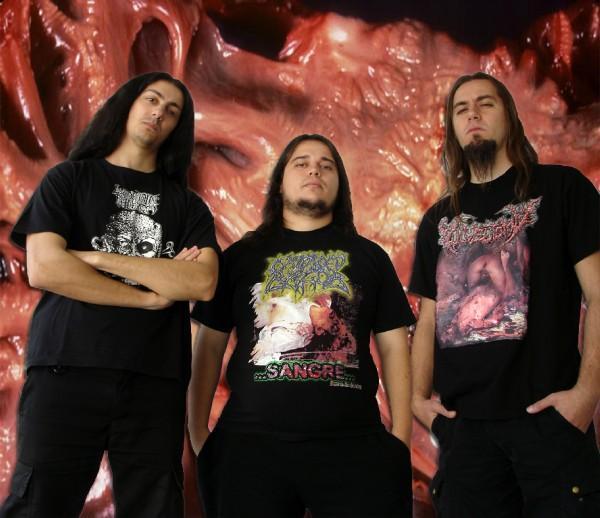 Blasted Pancreas - Discography (2008 - 2011)