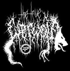The True Werwolf - Discography (2007 - 2020)