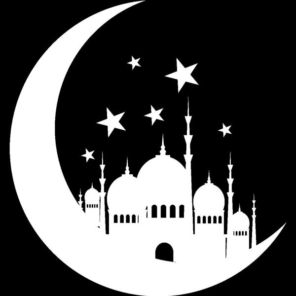 Mulla - Discography (2020 - 2021)