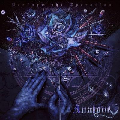 Anatomy - Perform the Operation